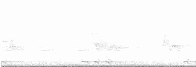 Black-billed Cuckoo - ML580873361