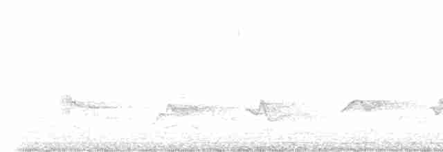 Чернокрылая пиранга - ML580919771