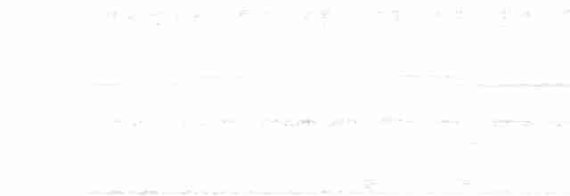 Large-tailed Nightjar - ML580969391