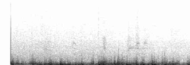 Rotschwanz-Tropikvogel - ML580975631