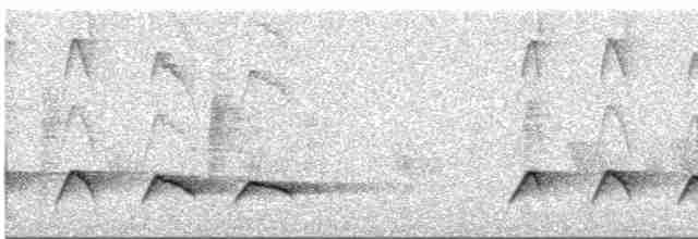 Зозуля-довгохвіст гірська - ML580976551