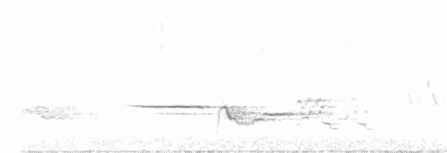 Дрізд-короткодзьоб плямистоволий [група auduboni] - ML581009311