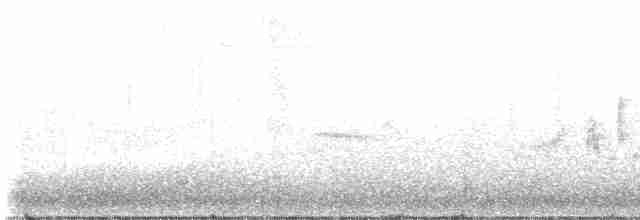 Кропив'янка прудка (підвид curruca/blythi/hamertoni) - ML581047971