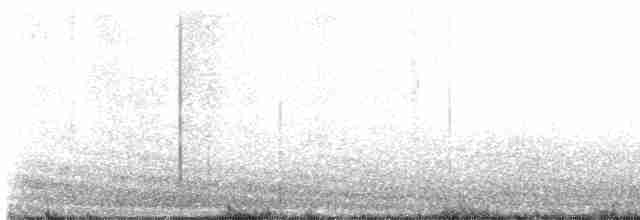 Klappergrasmücke (curruca/blythi/halimodendri) - ML581047981