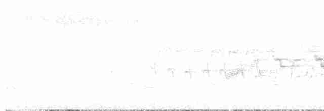 Дрізд-короткодзьоб бурий - ML581052951