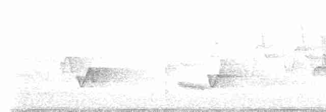 Cerulean Warbler - ML581068481