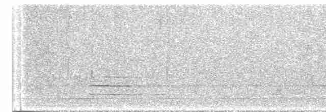 Чернокрылая пиранга - ML581125221
