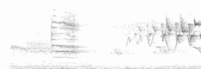 Black-billed Cuckoo - ML581134951