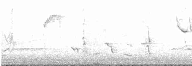 Gray Catbird - ML581188571
