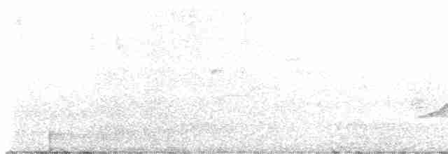 ויראו צהוב-גרון - ML581221511