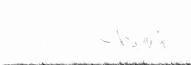 Chingolo de Baird - ML581228311