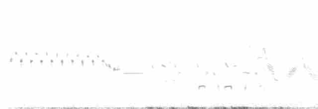 Прерийная овсянка-барсучок - ML581228841