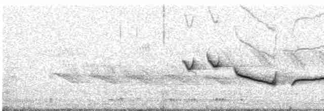 Weißbrauen-Heckensänger [leucophrys-Gruppe] - ML581231251