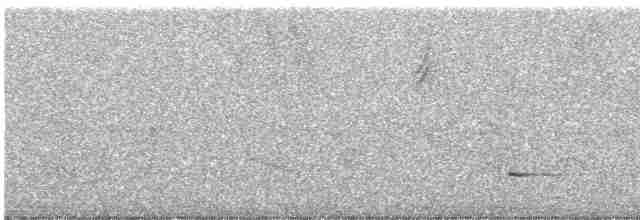 Small-billed Tinamou - ML581239421