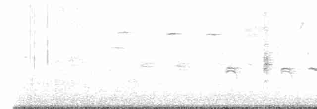 Söğüt Sinekkapan - ML581258161