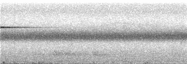 Malabar Whistling-Thrush - ML58126281