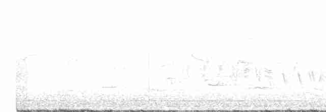svarthvit fluesnapper - ML581266151