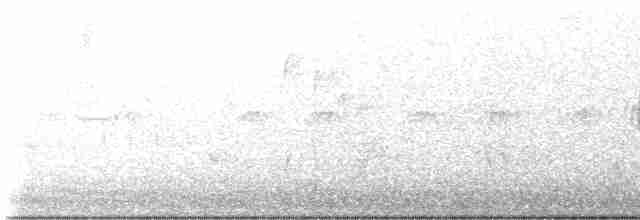 Черногорлая хвойница - ML581273191