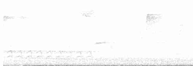 Weißbrustkleiber - ML581278871