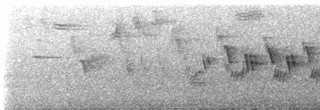 Черногорлая хвойница - ML581288201