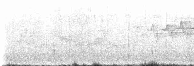 Чернокрылая пиранга - ML581313481