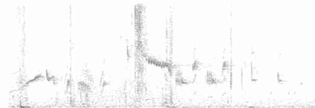 Eastern Orphean Warbler - ML581354401