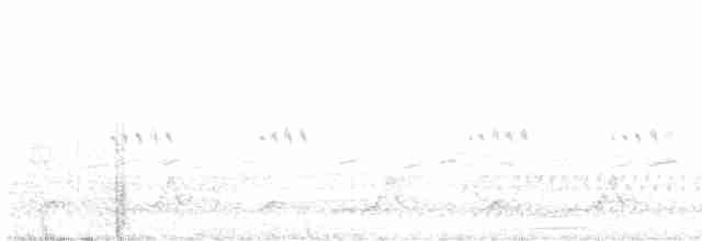 Schwarzkehl-Nachtschwalbe - ML581354511
