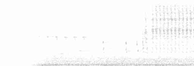 Bataklık Çıtkuşu - ML581373471