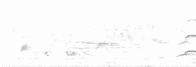 Haubenschlangenadler - ML581389491