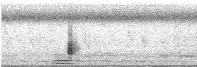 Clamorous Reed Warbler - ML581424871
