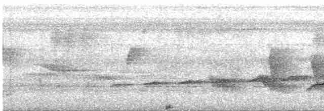 Черношапочный шелкопёр - ML581427941