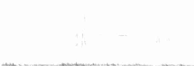Gray Flycatcher - ML581455321