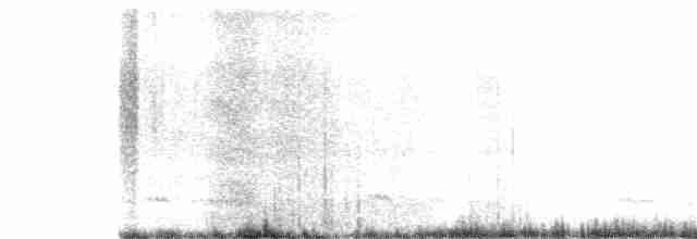 hvithalesvømmesnipe - ML581461921