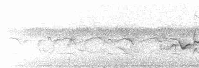 Славковый виреон (gilvus) - ML581469281