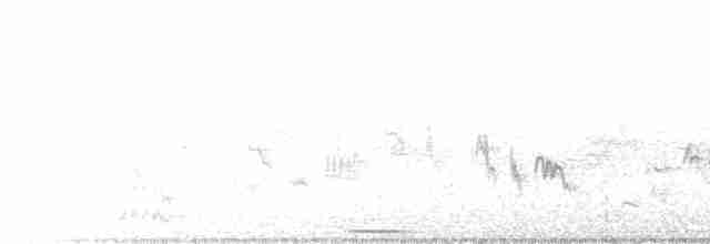 Great Reed Warbler - ML581482431