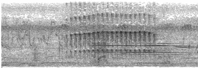 Бурошапочный острокрылый дятел - ML581507371