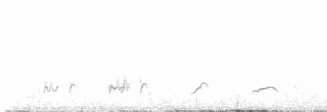 Кактусовый крапивник - ML581515431