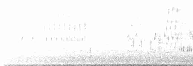 Troglodyte des marais - ML581525361