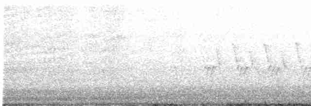 Черногорлая хвойница - ML581545961