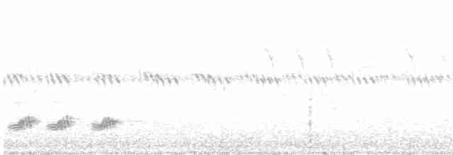 Western Orphean Warbler - ML581590711