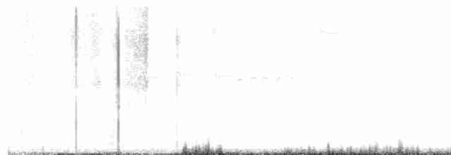 Cassin Serçesi - ML581605141