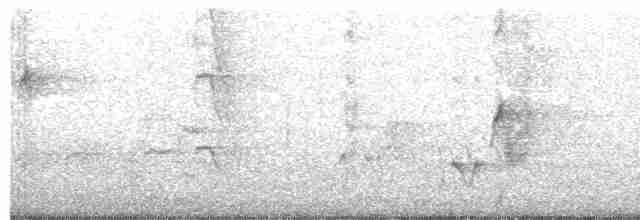 Пересмішник сірий - ML581629491