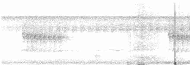 Dreibinden-Ameisenvogel - ML581685301