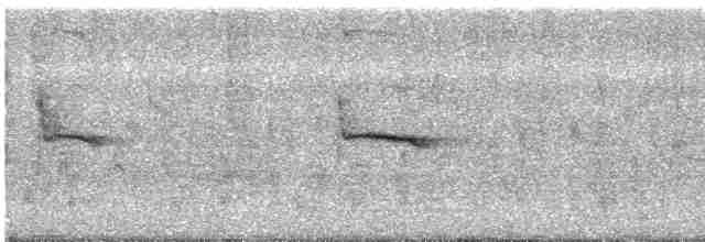 Graumantel-Brillenvogel - ML581702541