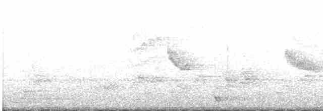 Swinhoe's White-eye - ML581751211