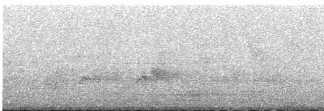 Яструб чубатий - ML581751231