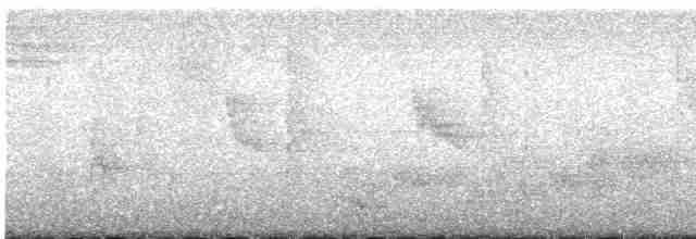 Яструб чубатий - ML581751241
