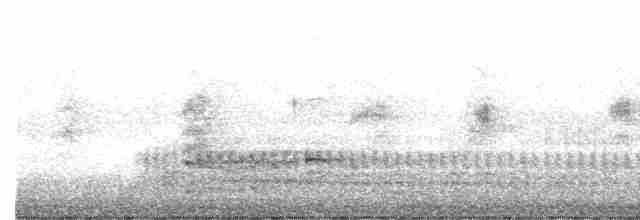 Spotless Crake - ML581770151