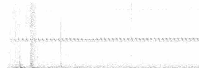 holub andský - ML581771061