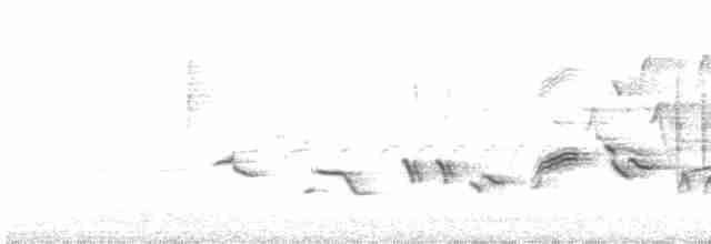 Oriole des vergers - ML581773921